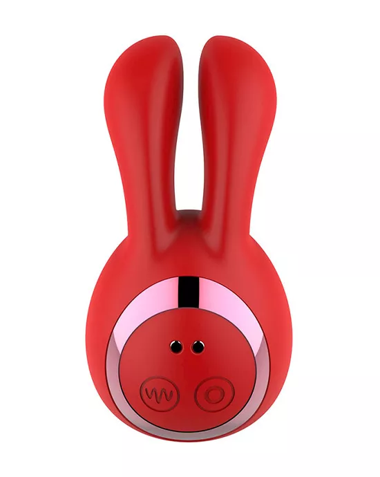 Roger Suction Vibrator