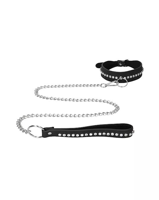 Diamond Studded Collar With Leash