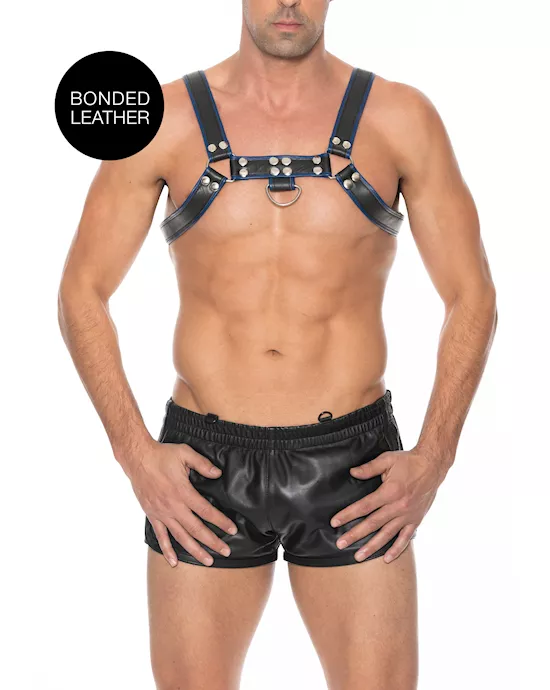 Chest Bulldog Harness