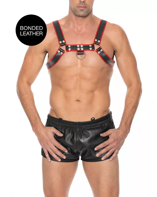 Chest Bulldog Harness