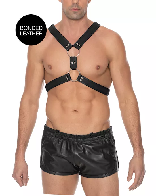 Z Series Scottish Harness