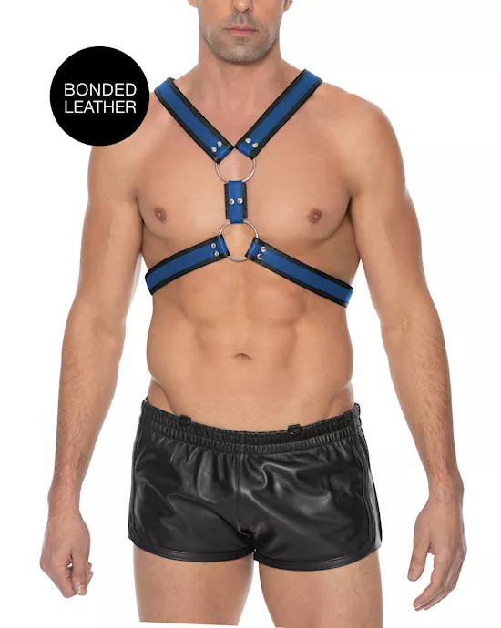 Z Series Scottish Harness