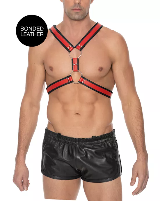 Z Series Scottish Harness
