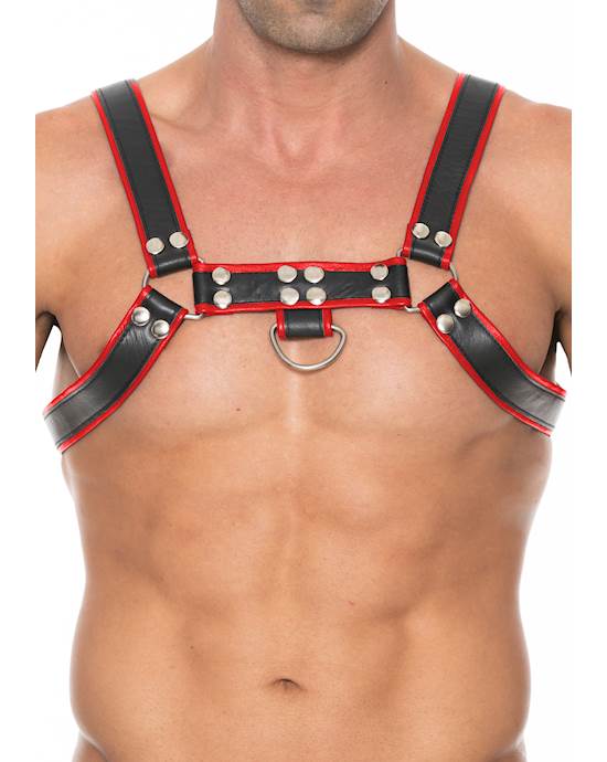Chest Bulldog Harness
