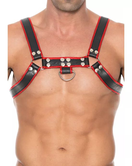 Chest Bulldog Harness