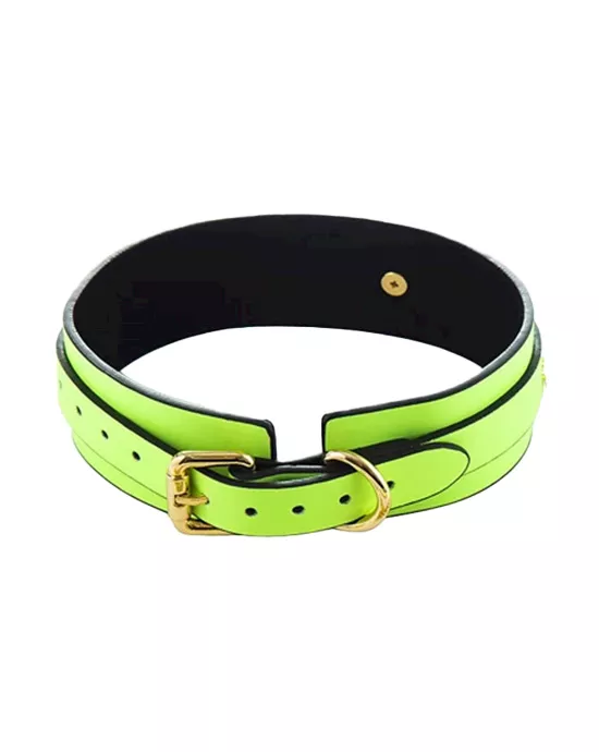 Luminated Glow in the Dark Collar