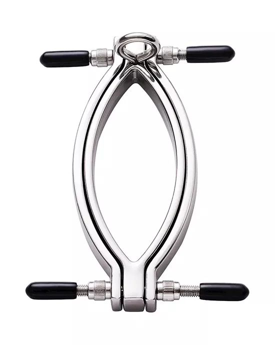 Adjustable Labia And Clit Clamp