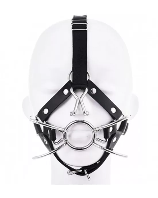 Spider Gag Head Harness