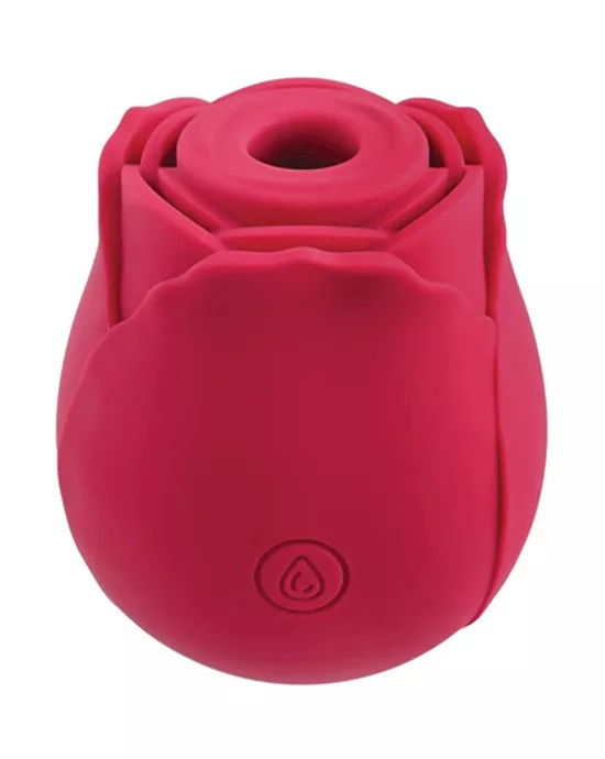Amore Elegant Rose Suction Vibrator