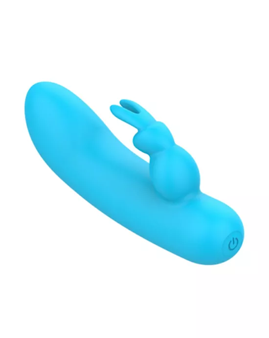 Amore Bubble Rabbit Vibrator