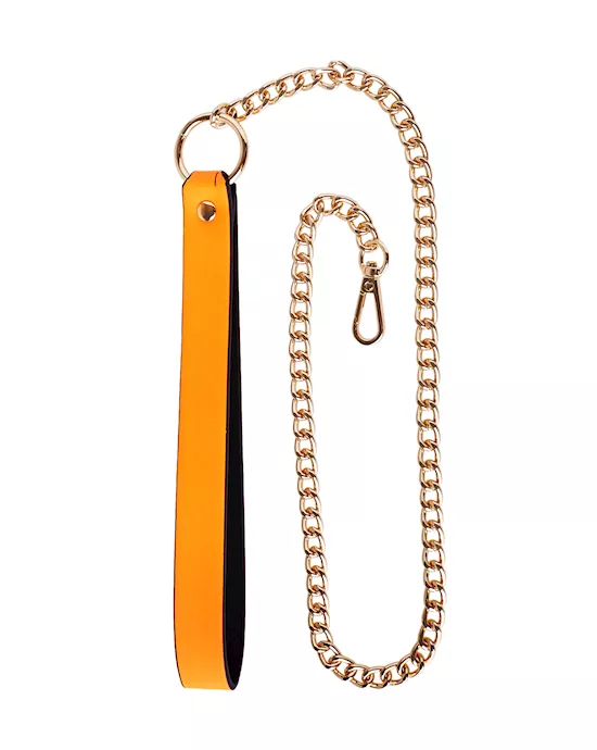 Luminated  Leash With Chain