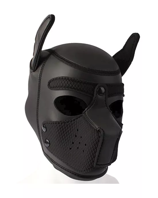 Obedience Training Bdsm Pup Mask