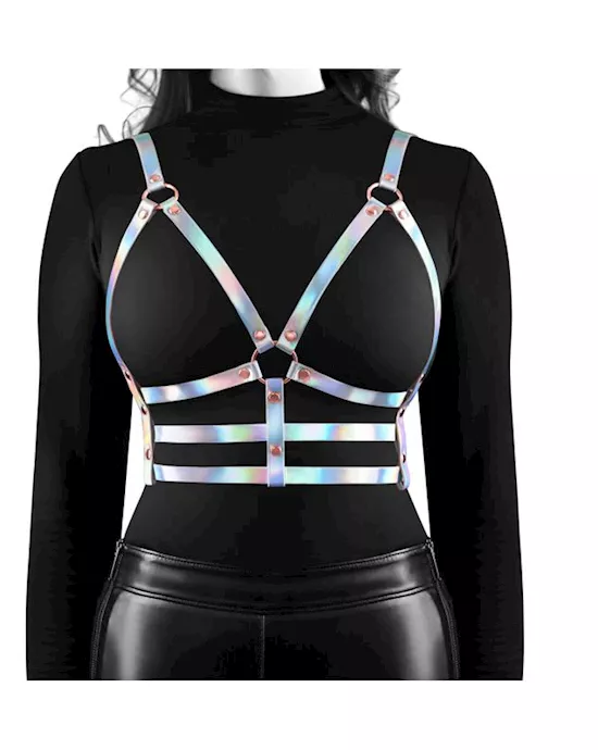 Cosmo Harness Bewitch L/xl