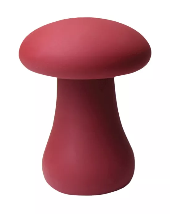 Flat Top Mushroom Vibe