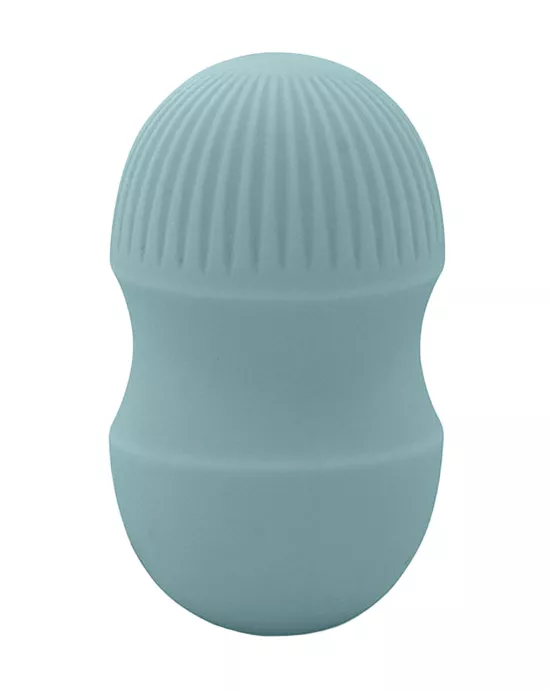 Brush With Pleasure Vibrator