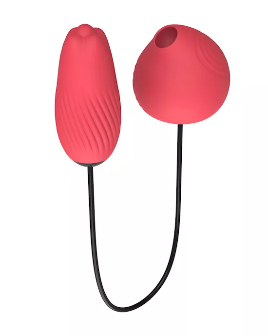 Play Divergent Dual Vibrator