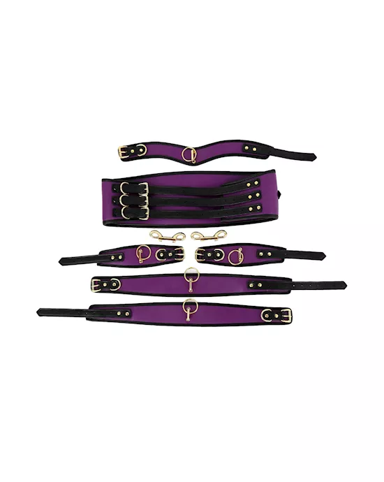 Premium Full Restraint Set