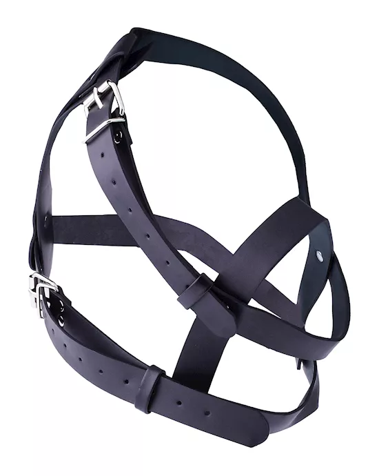 Sneaker Face Harness