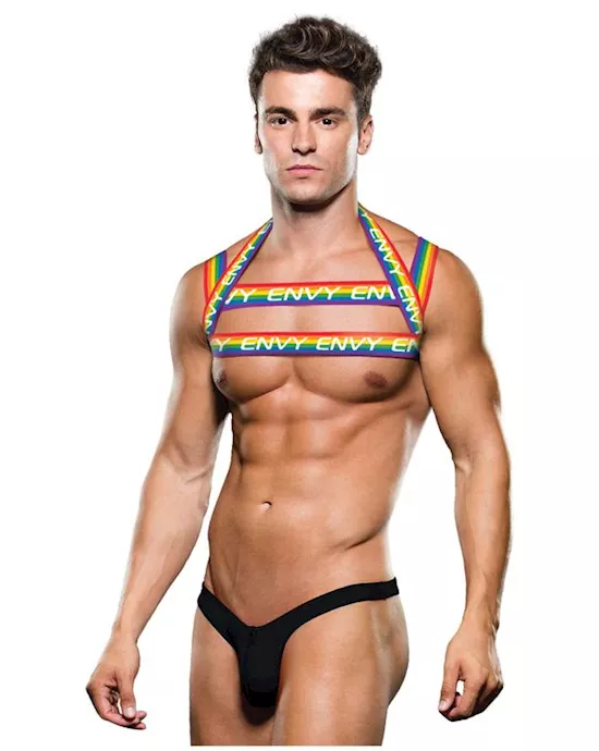 Envy Rainbow Harness Sm Bx