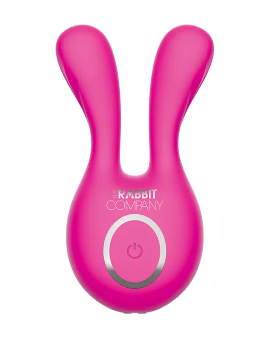 The Ears Plus Rabbit