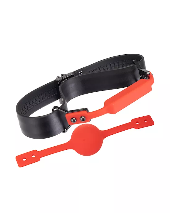 Lockink Ball Gag & Bit Gag Set