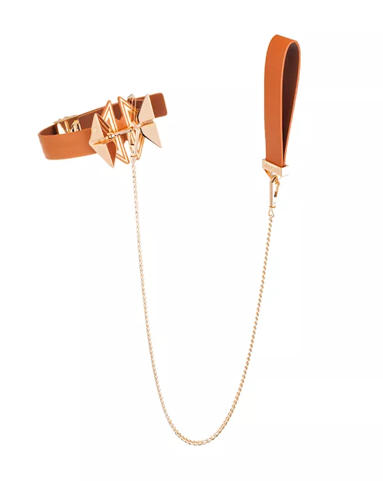 Lockink Posture Collar