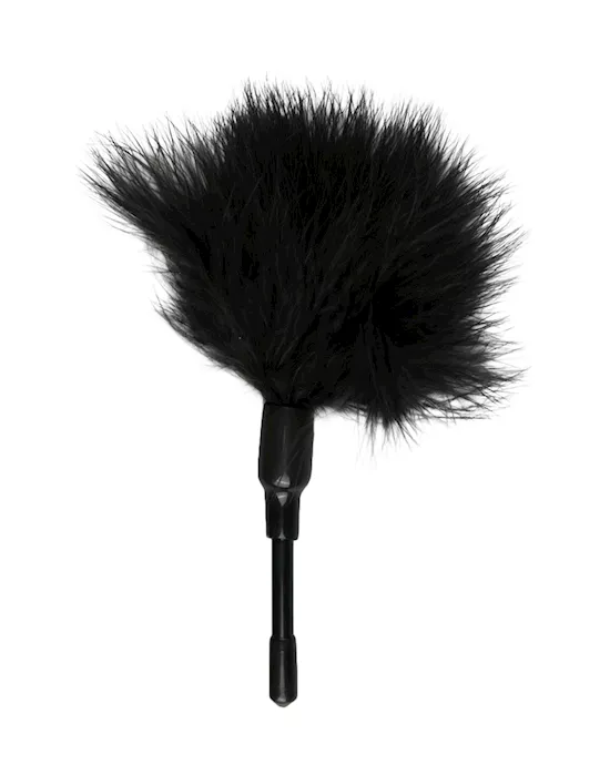 EasyToys Small Feather Tickler
