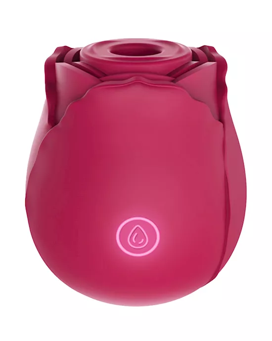 Rosy Suction Vibrator