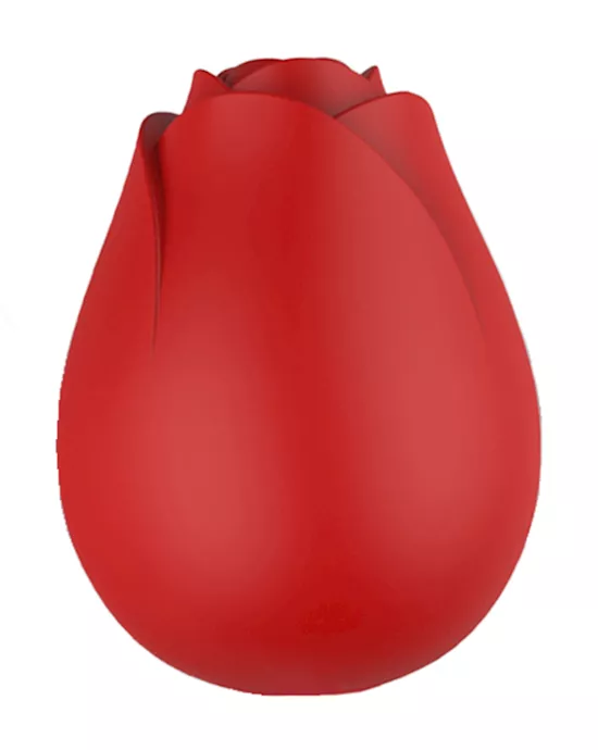 Rose Vibe With Bullet