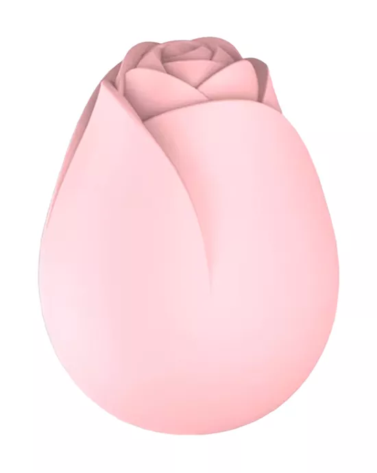 Rose Vibe With Bullet