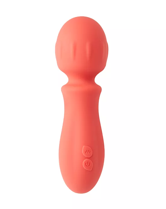 Amore Raunchy Mini Wand