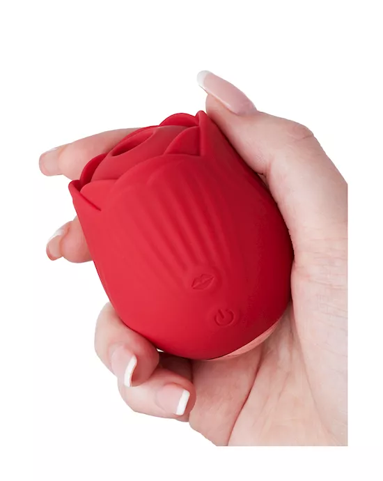 Rose Suction Vibrator