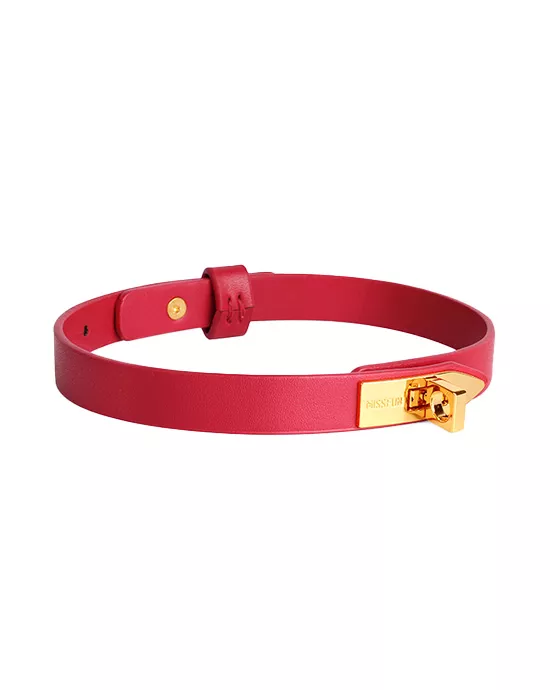 Elegant Collar With Leash