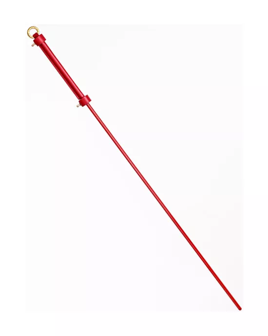 Sensual Spanking Stick