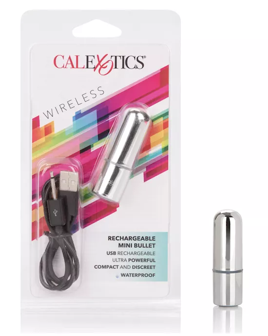 Rechargeable Mini Bullet - Silver