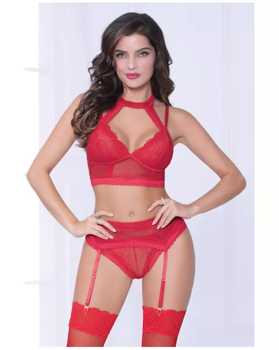 Lace & Netting Long Line Bra, Garter Belt & Open Crotch Thong Red SM
