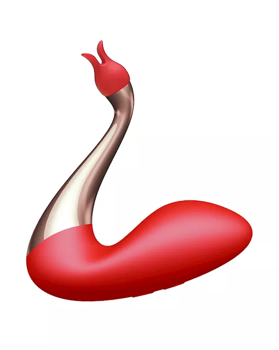 Swan Interchangeable Dual Vibrator