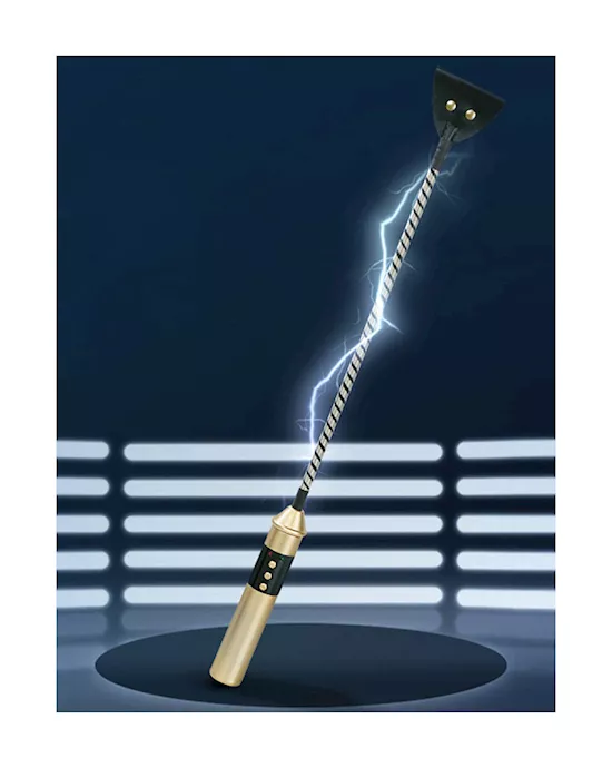 Passionate Electric Whip