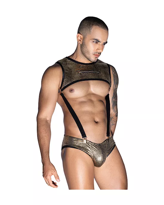 Golden Snake Top And Underwear Set