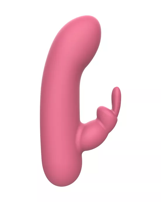 Arien Rabbit Vibrator
