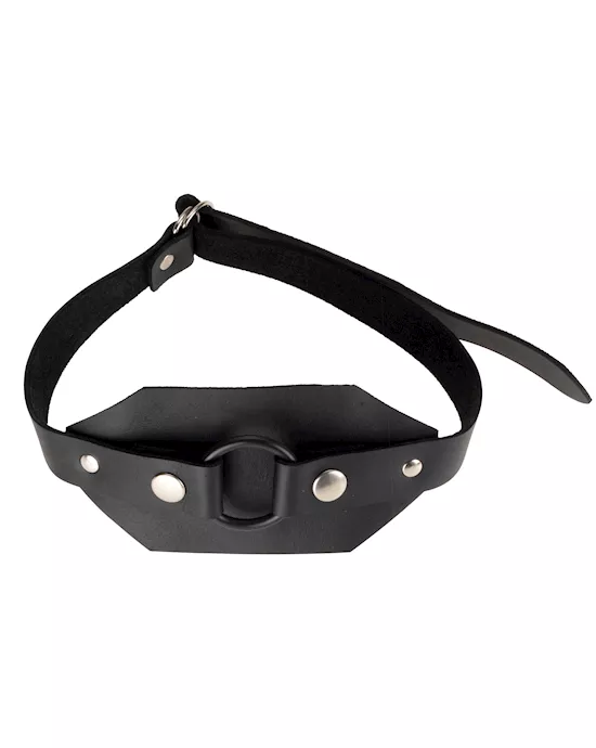 Leather Thigh Harness