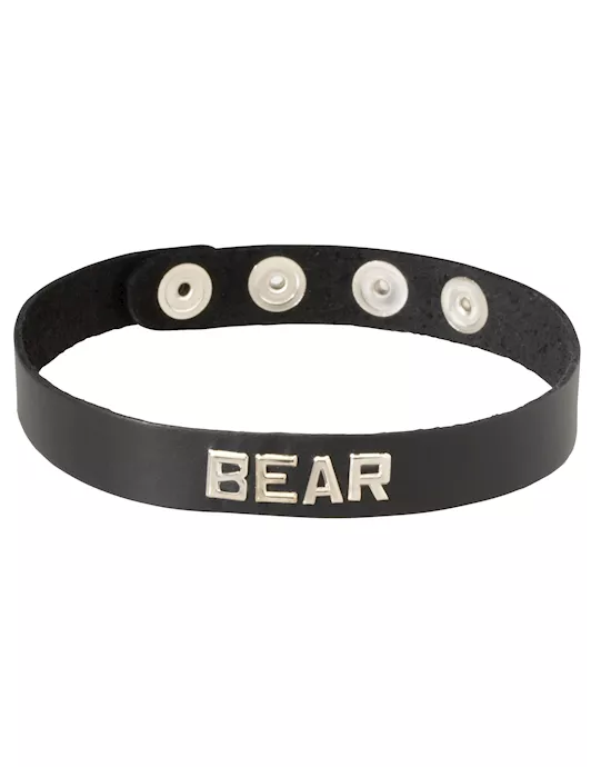 LEATHER COLLAR BEAR