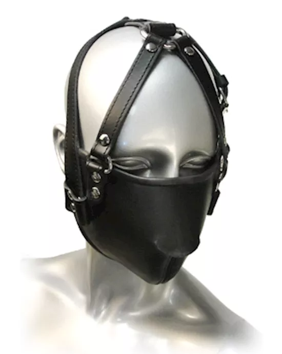 Strict Leather Face Harness