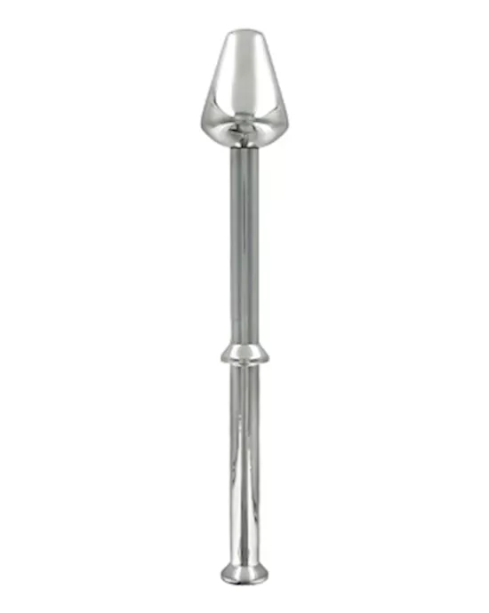 Stainless Steel Anal Spear