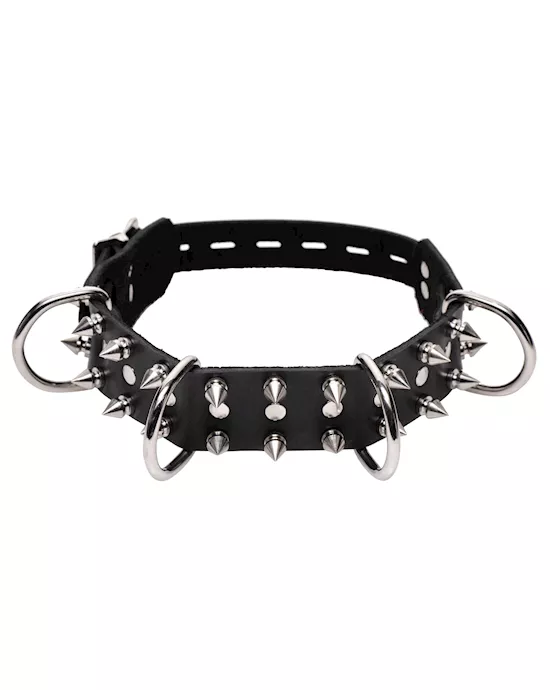 Strict Leather Spiked Dog Collar