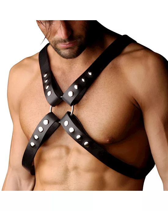 Strict Leather 4 Strap Chest Harness Sm