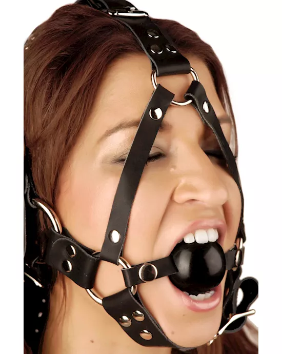 Leather Ball Gag Harness