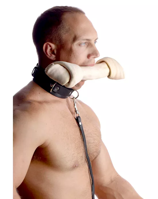 Sick Puppy Leash and Collar Kit