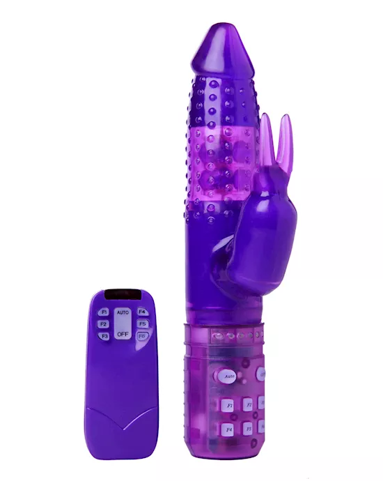 6 Function Purple Remote Rabbit Vibe