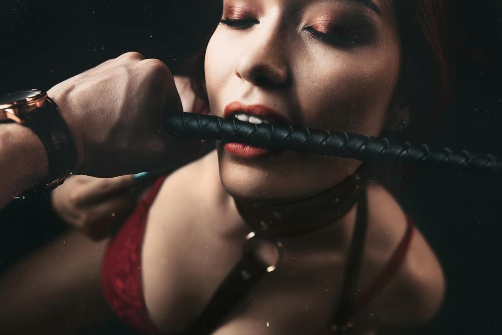large_BDSM_flogger_in_mouth.jpg